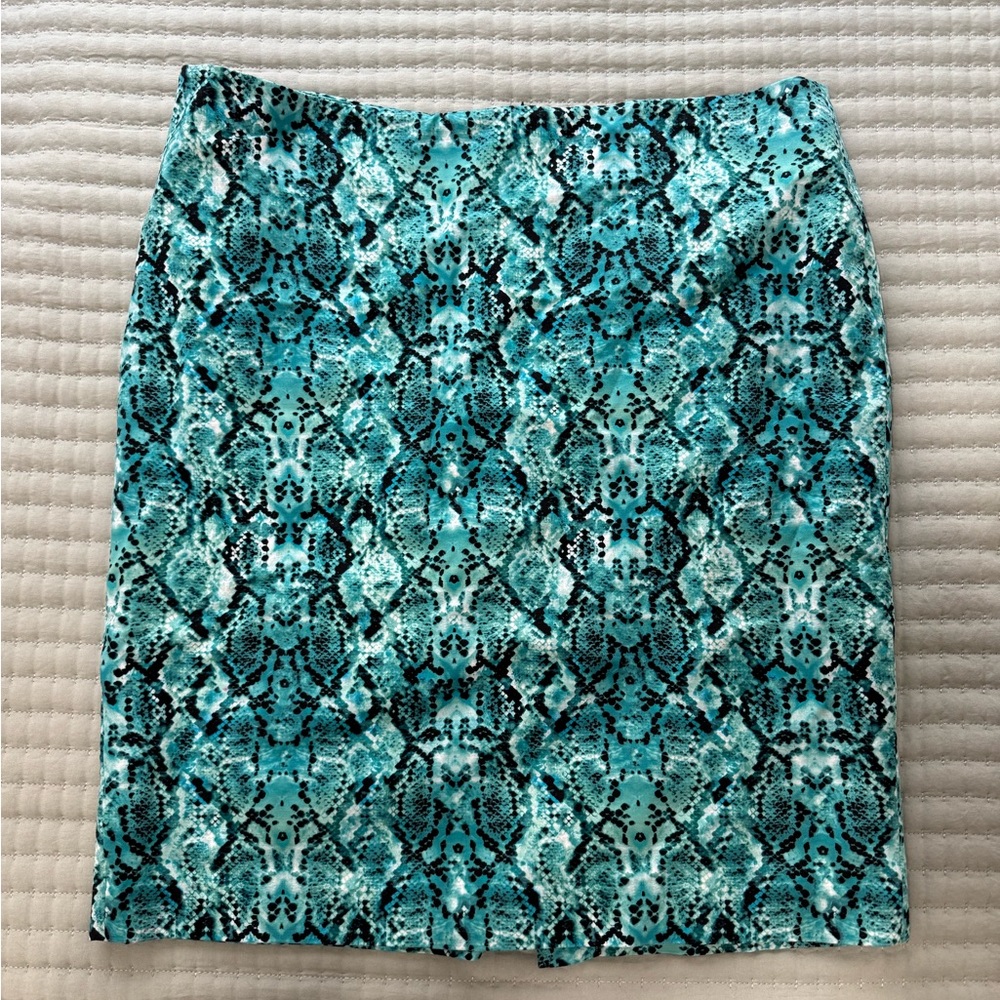 15. Liz Claiborne Women’s Snakeskin Pencil Skirt- size 18